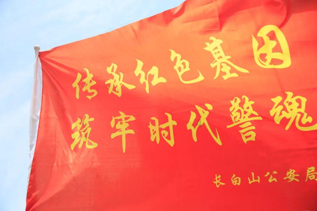 救援鹦鹉